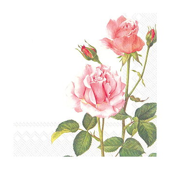 ihr Servetter A Rose For You