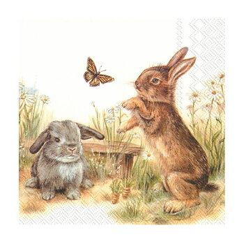 ihr Servetter Bunny and Clyde