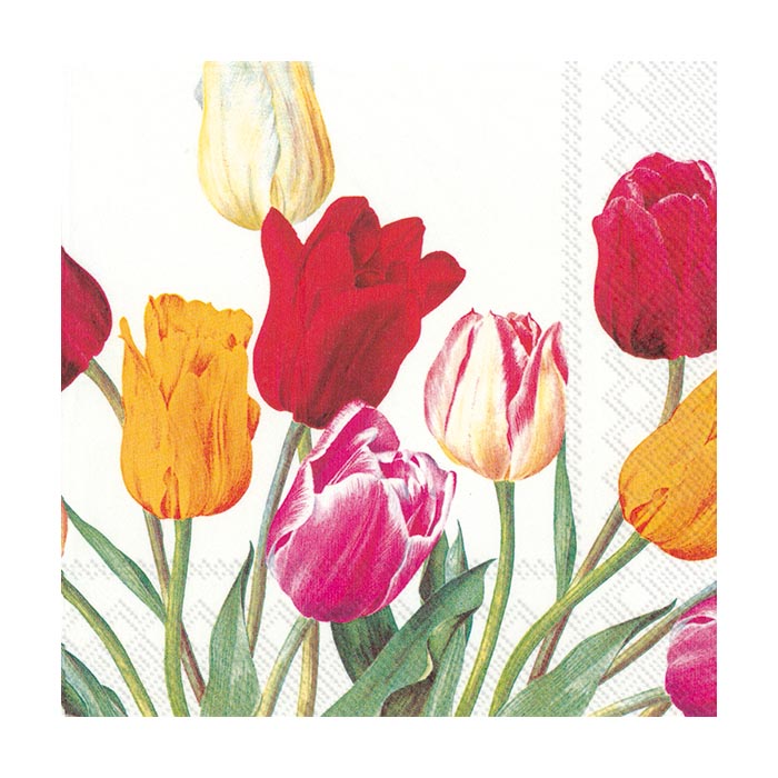 ihr Servetter Tulips