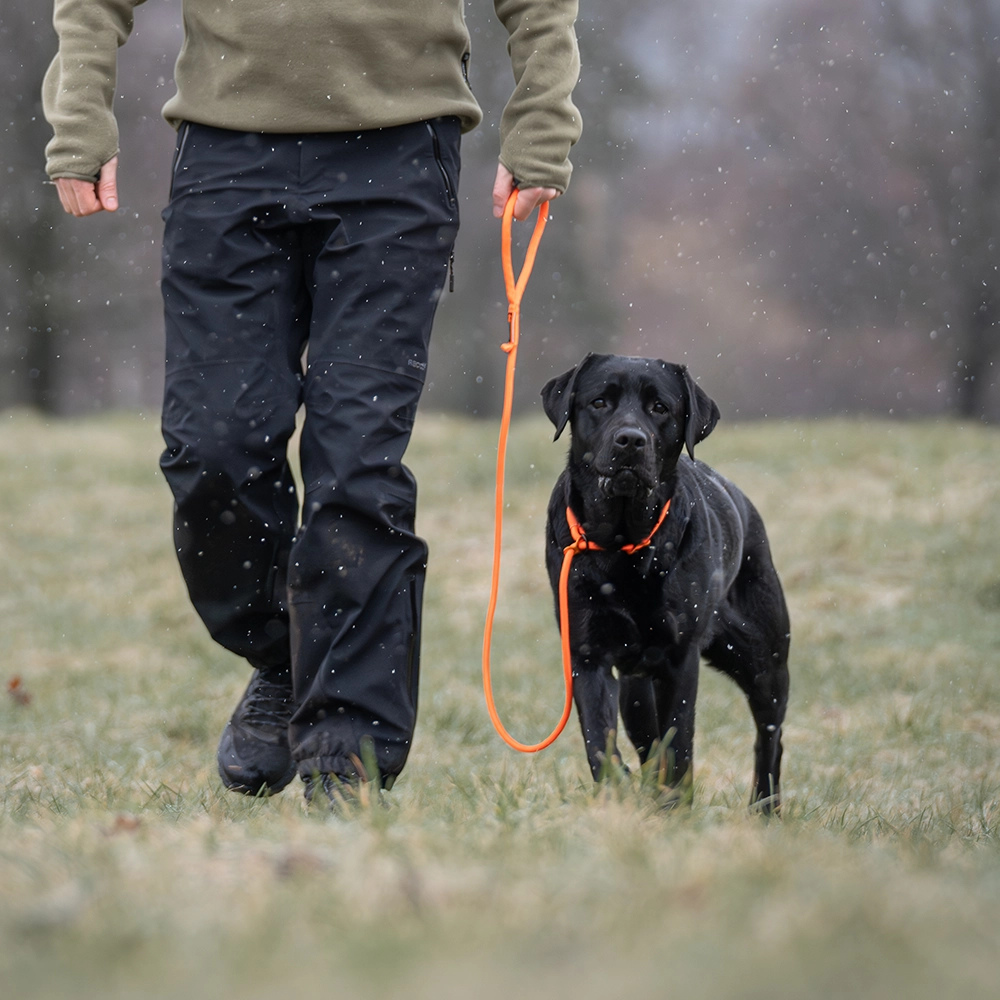 Non-stop retriever leash - 5