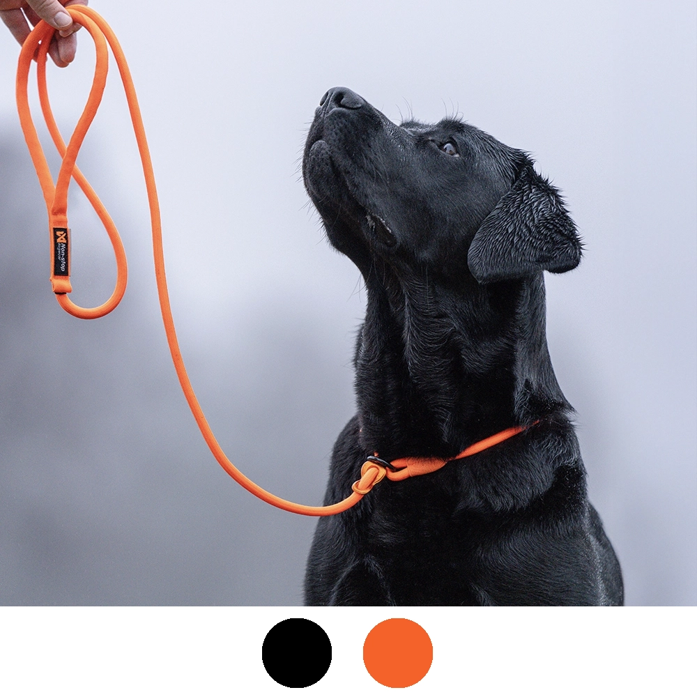 Retriever leash från Non-stop dogwear 160 cm long