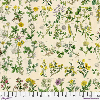Tim Holtz   Botanical