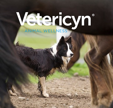 Vetericyn brochyr 10 st