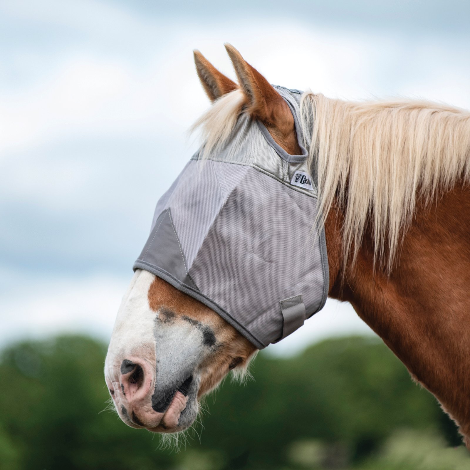 Cashel© Crusaders™ Fly Mask Grey  - 14