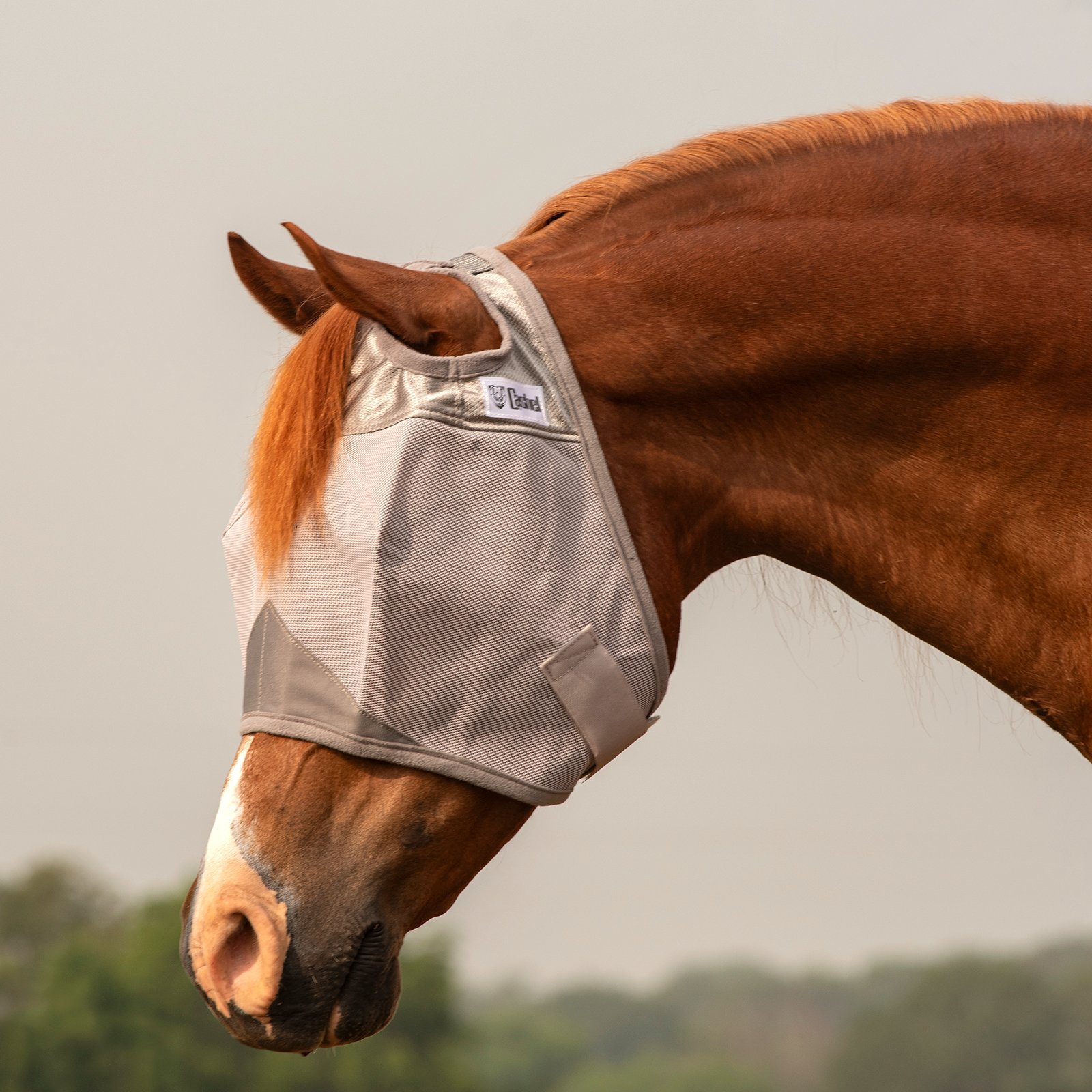 Cashel© Crusaders™ Fly Mask Grey  - 4