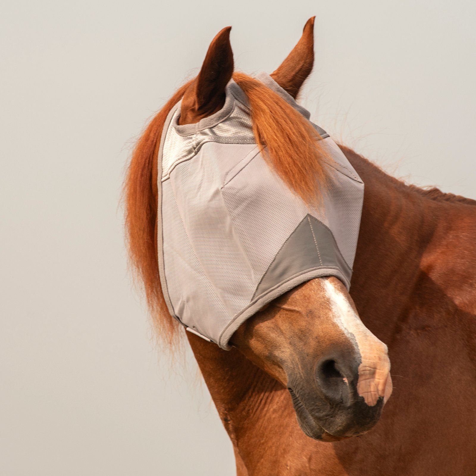 Cashel© Crusaders™ Fly Mask Grey  - 3