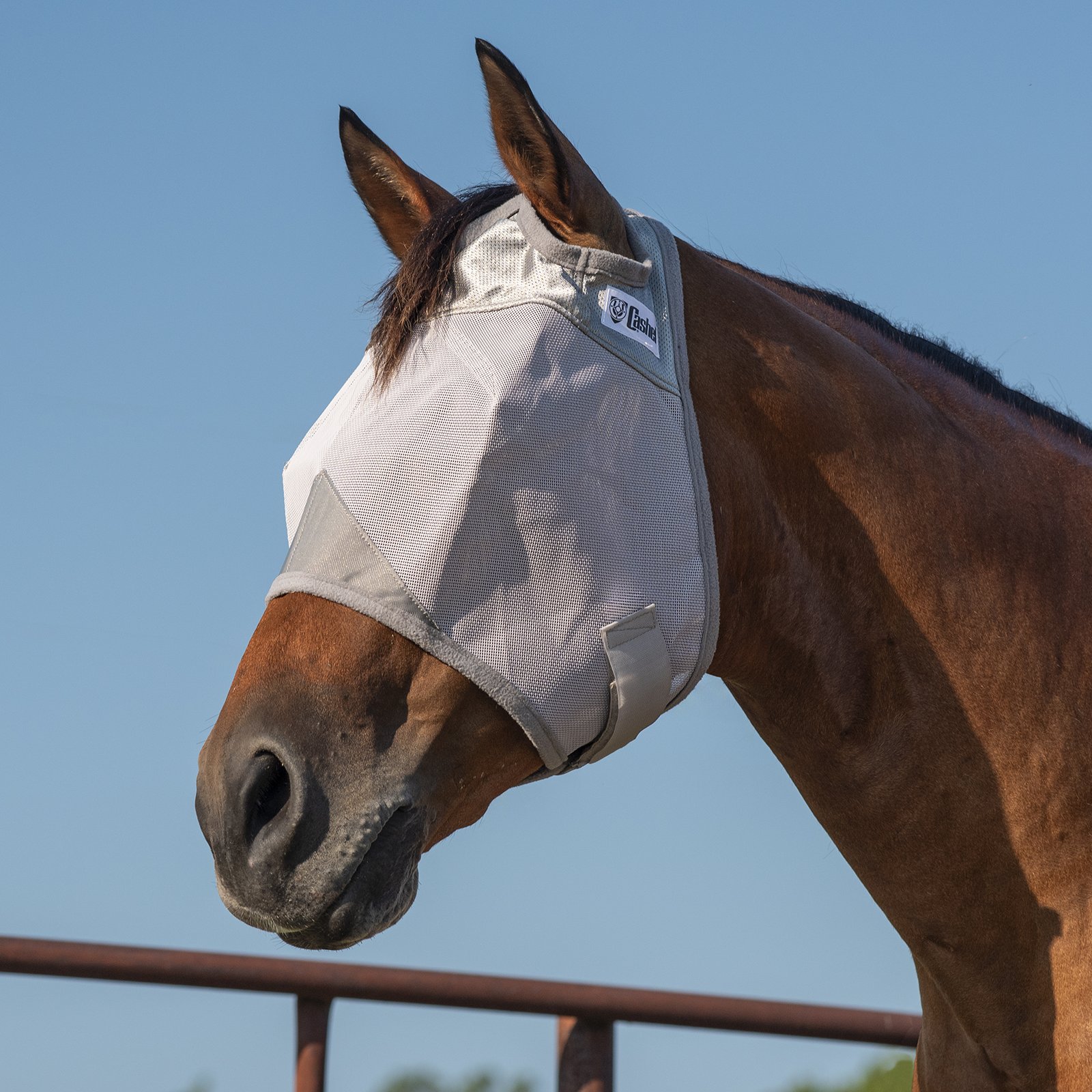 Cashel© Crusaders™ Fly Mask Grey  - 7