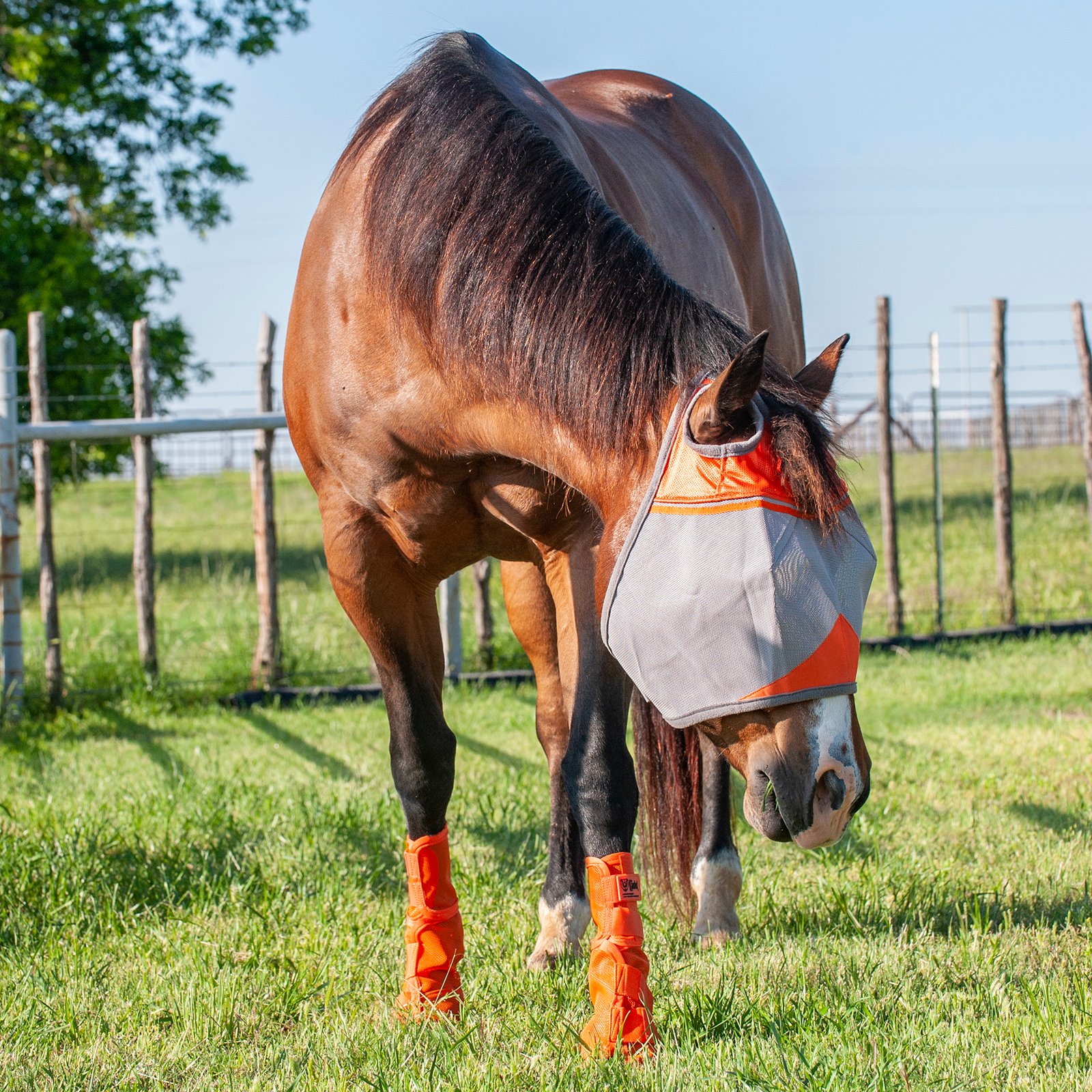 Cashel© Crusaders™ Fly Mask / flughuva, orange - 6