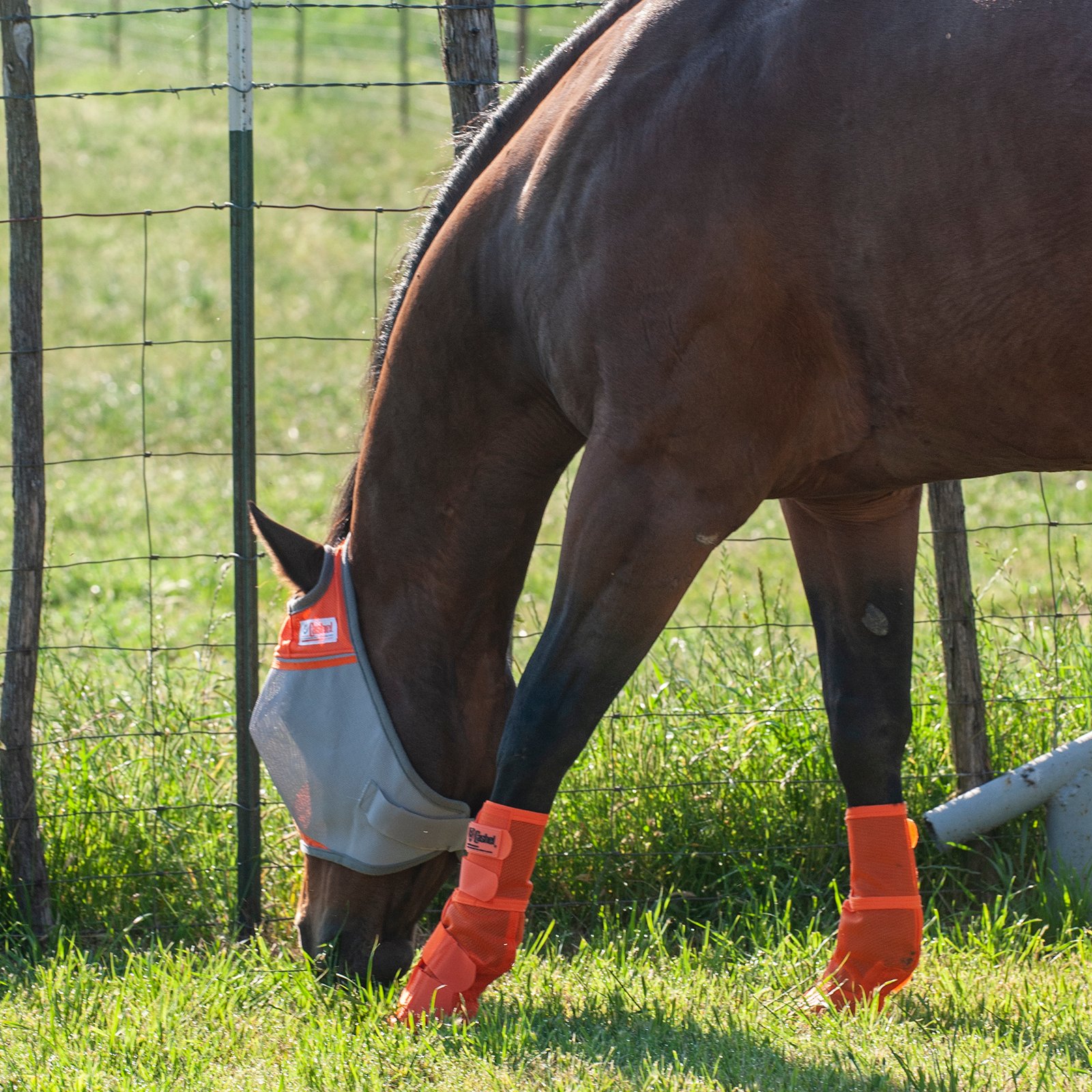 Cashel© Crusaders™ Fly Mask / flughuva, orange - 4
