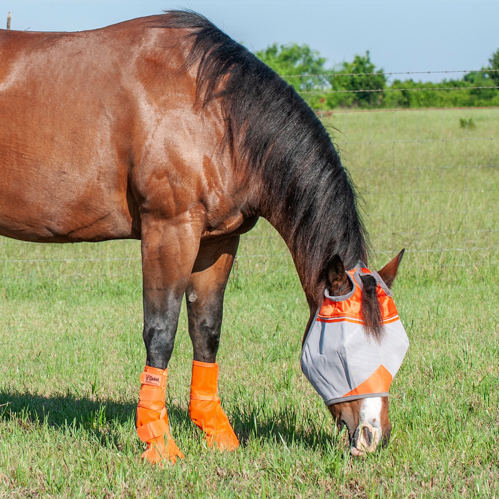 Cashel© Crusaders™ Fly Mask / flughuva, orange - 5