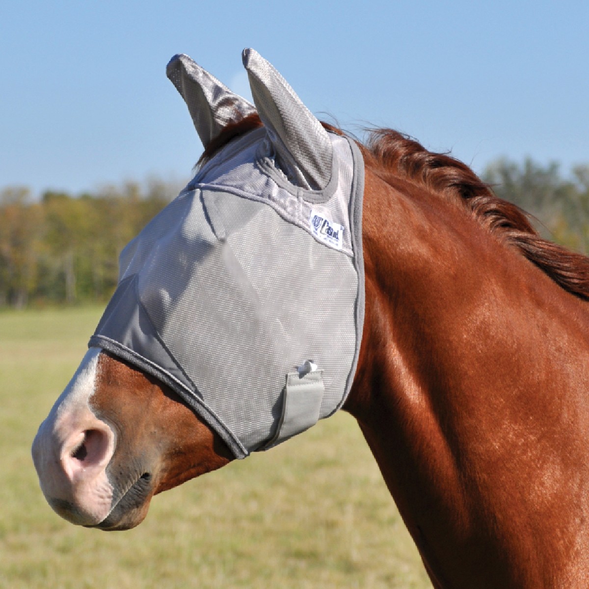 Cashel© Crusaders™ Fly Mask with ears, grey