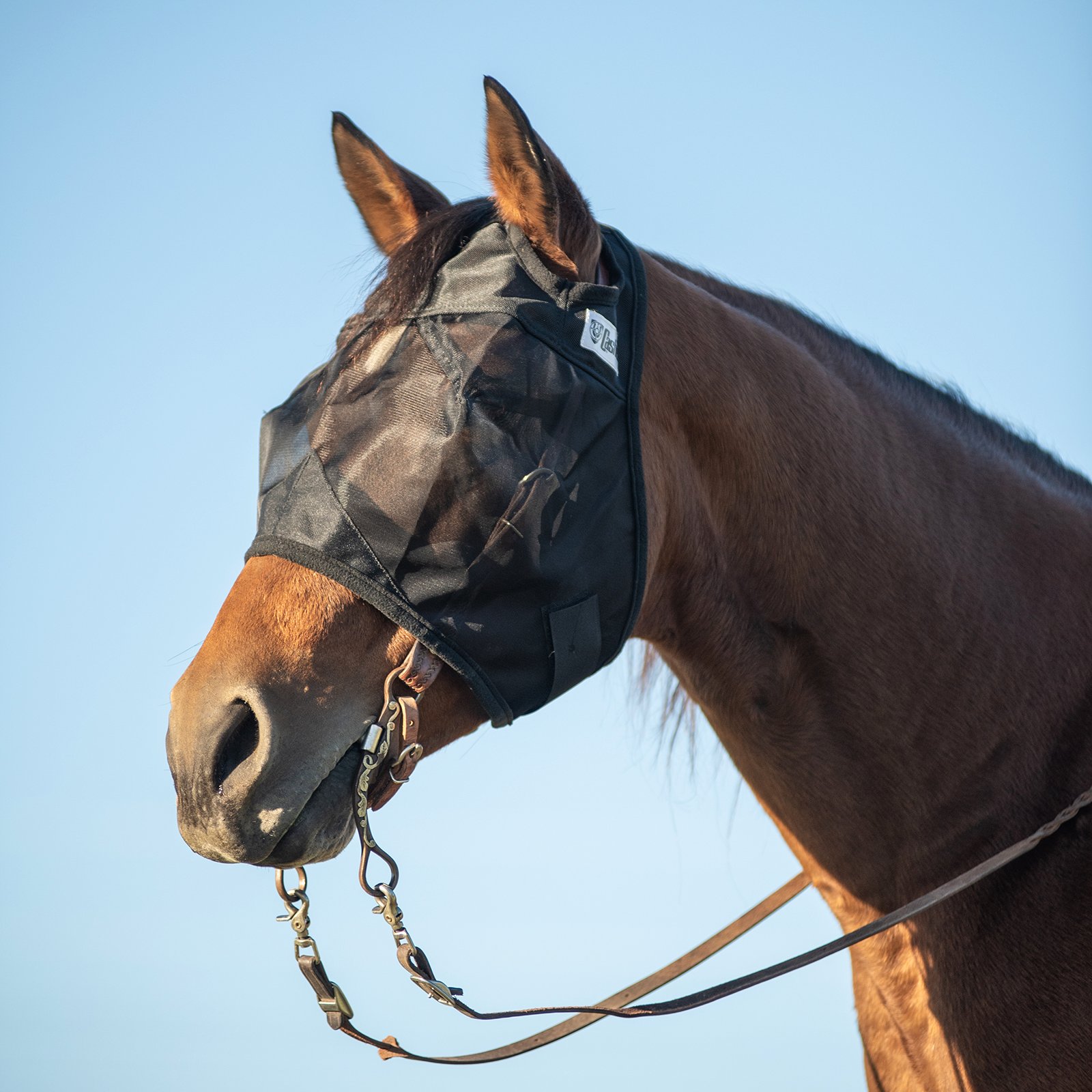 Cashel© Quiet Ride™ Mask - 9