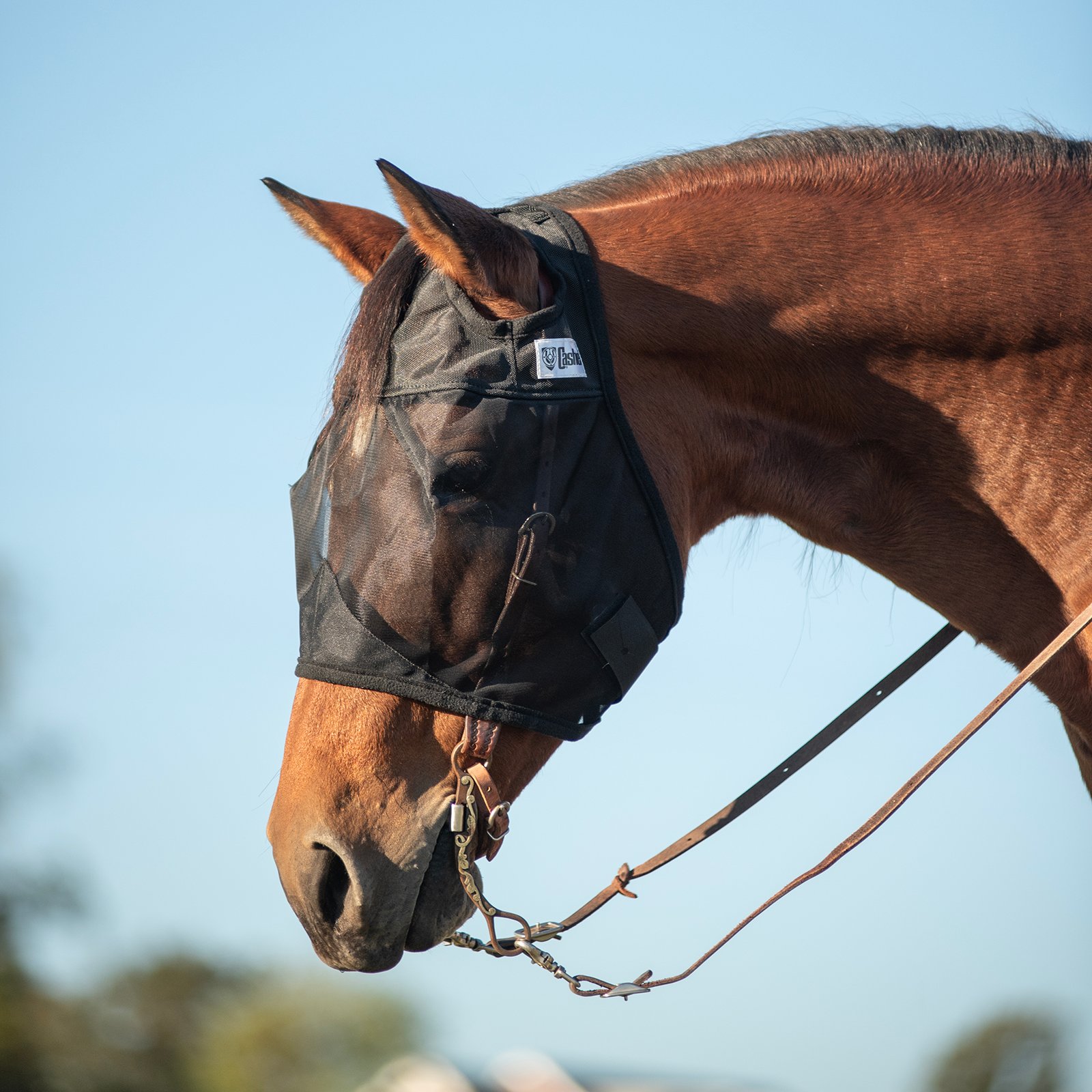 Cashel© Quiet Ride™ Mask - 7