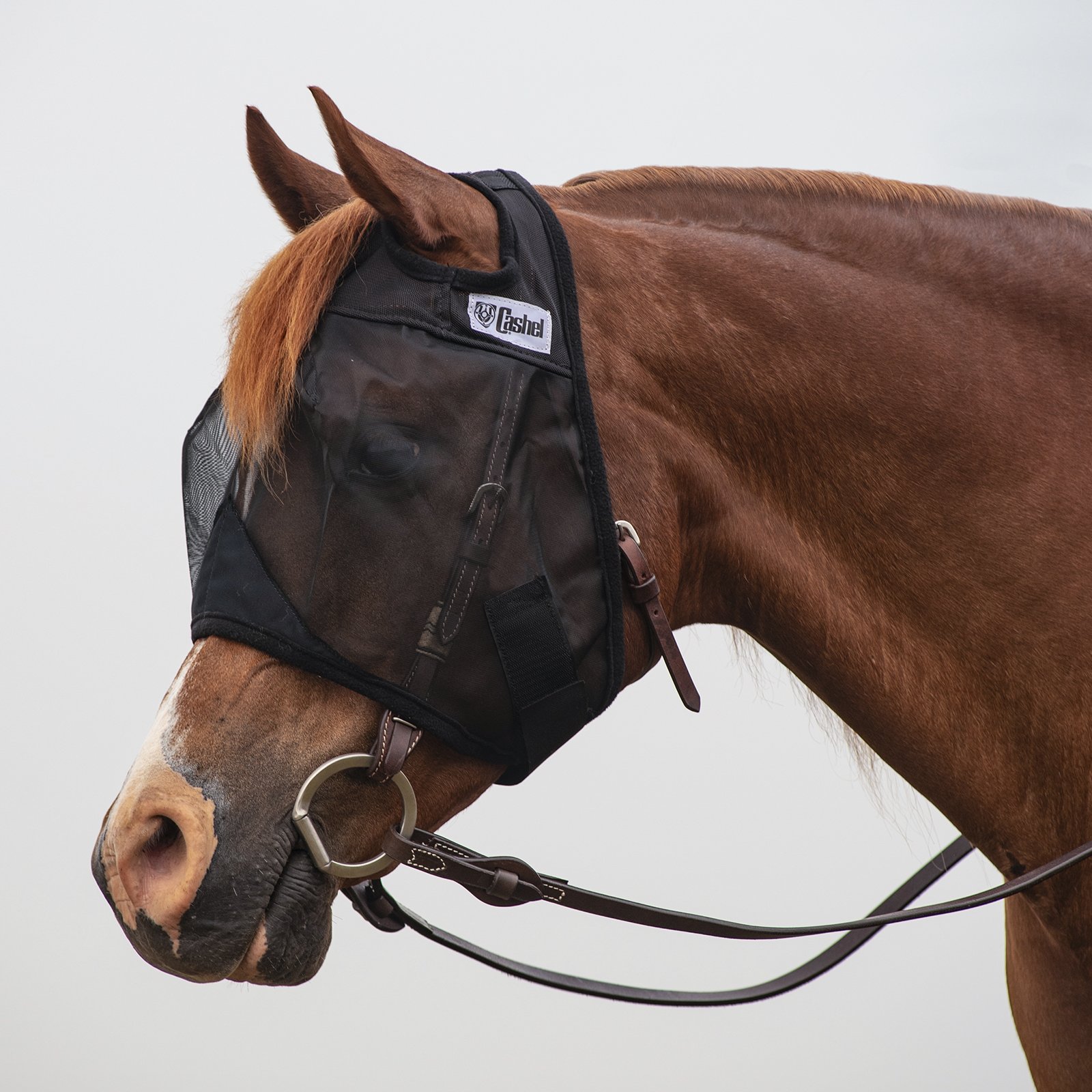 Cashel© Quiet Ride™ Mask