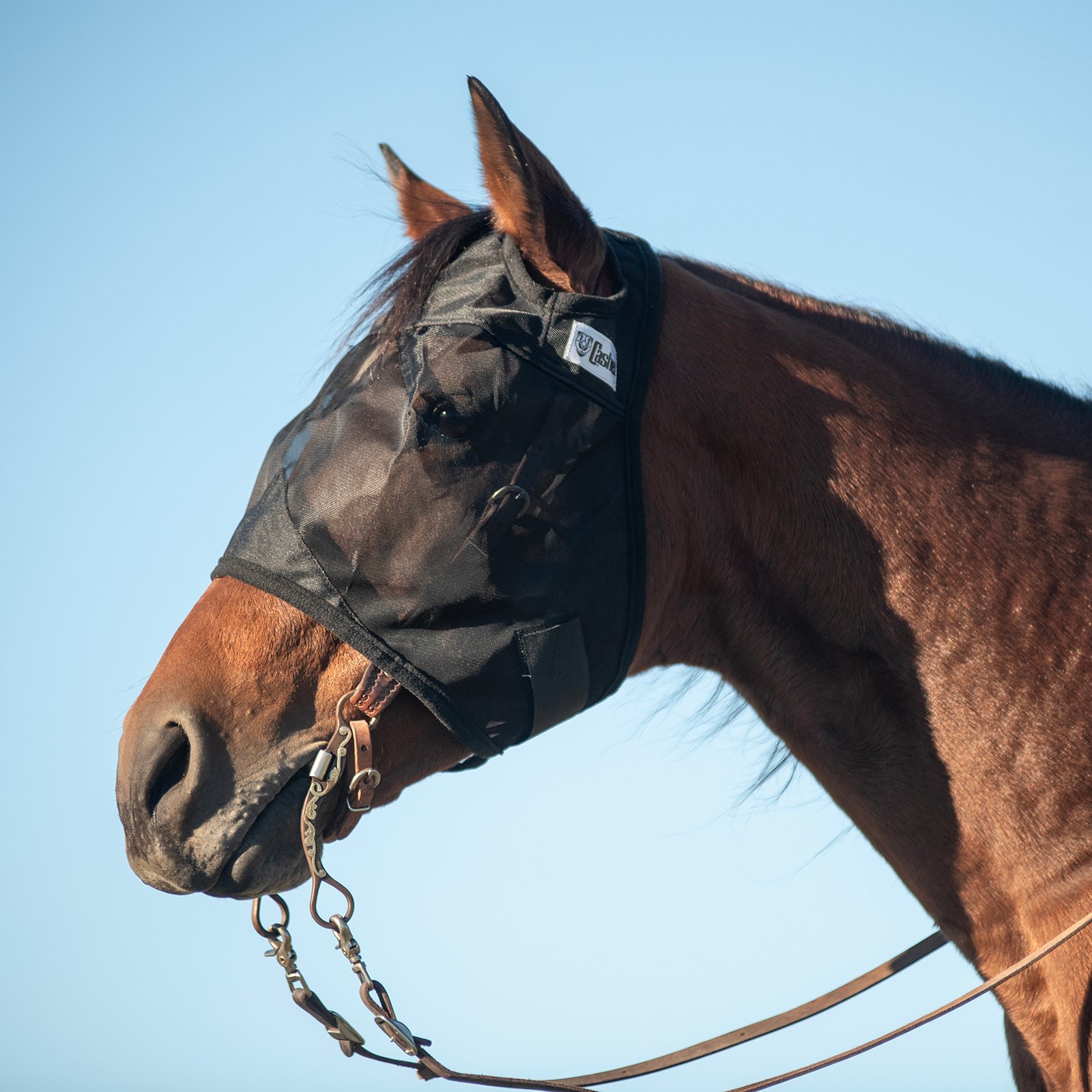 Cashel© Quiet Ride™ Mask - 8