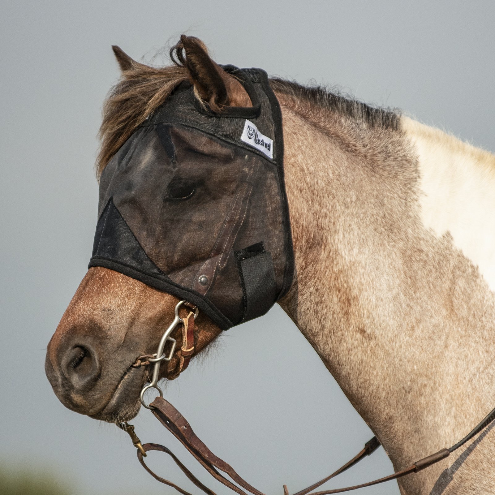 Cashel© Quiet Ride™ Mask - 6