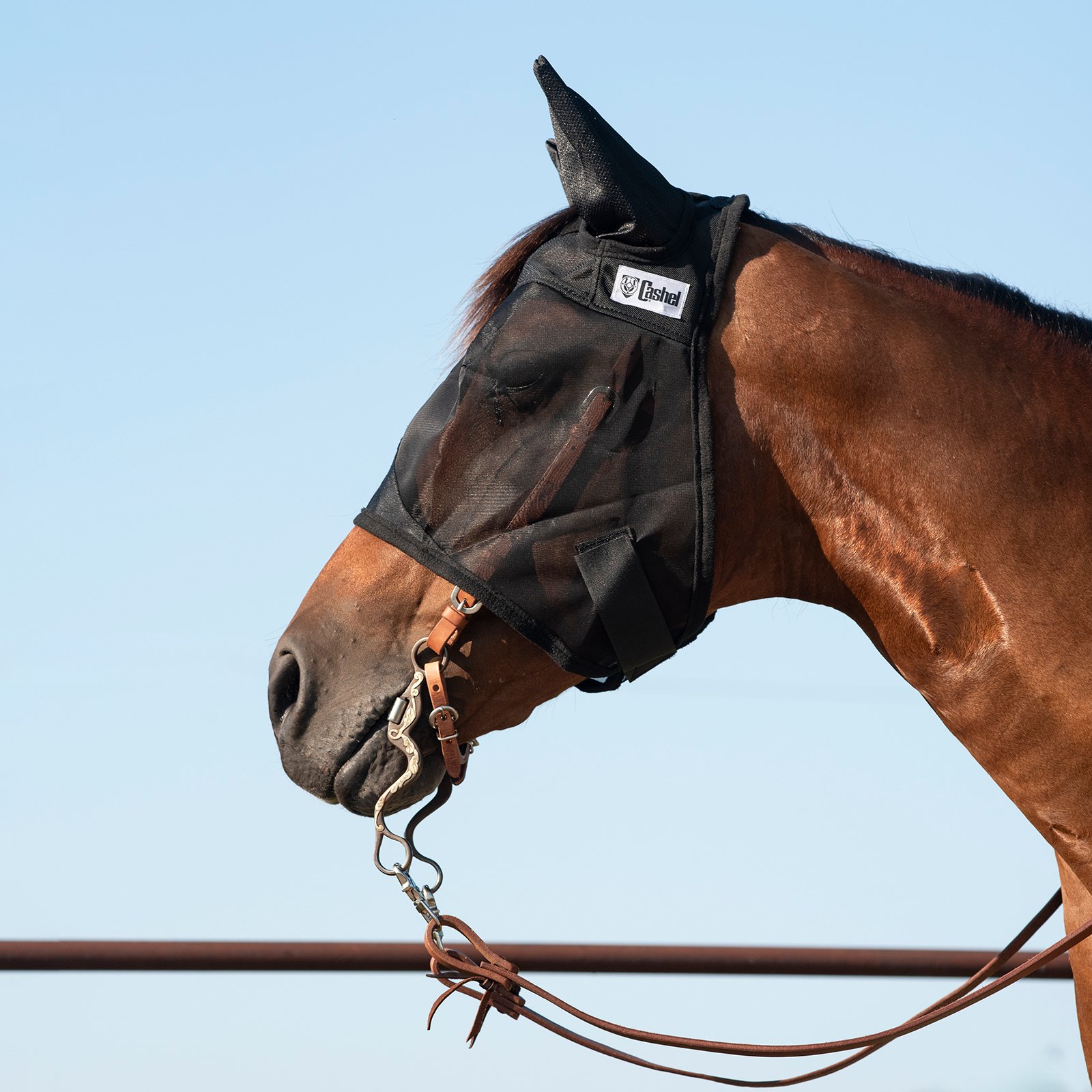 Cashel© Quiet Ride™ Mask with ears - 4
