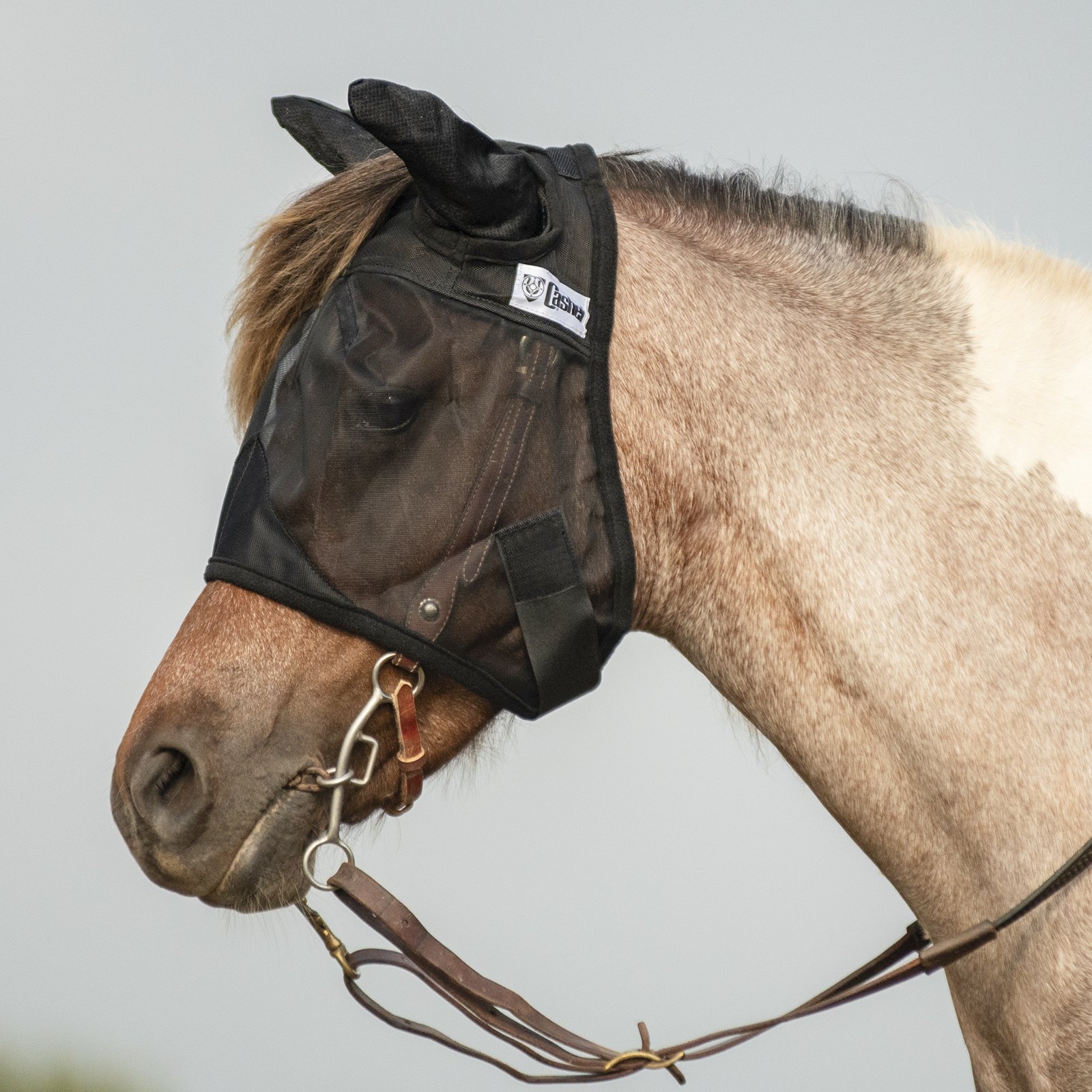 Cashel© Quiet Ride™ Mask with ears - 6