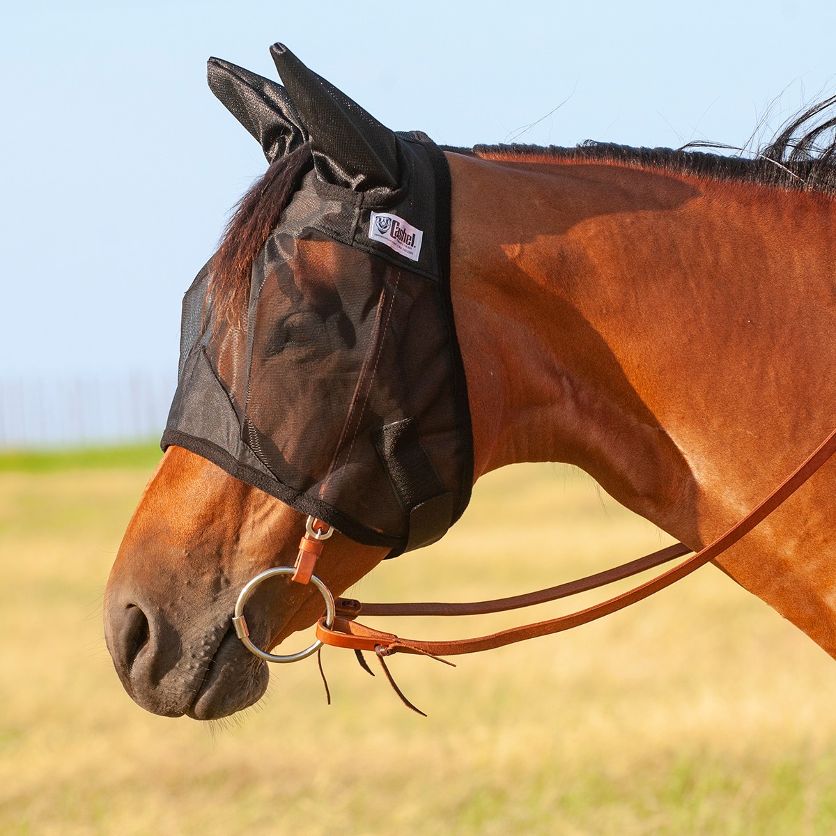 Cashel© Quiet Ride™ Mask with ears - 2