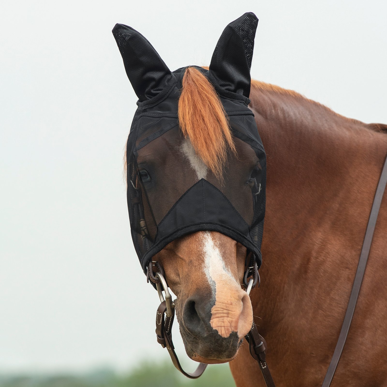 Cashel© Quiet Ride™ Mask with ears