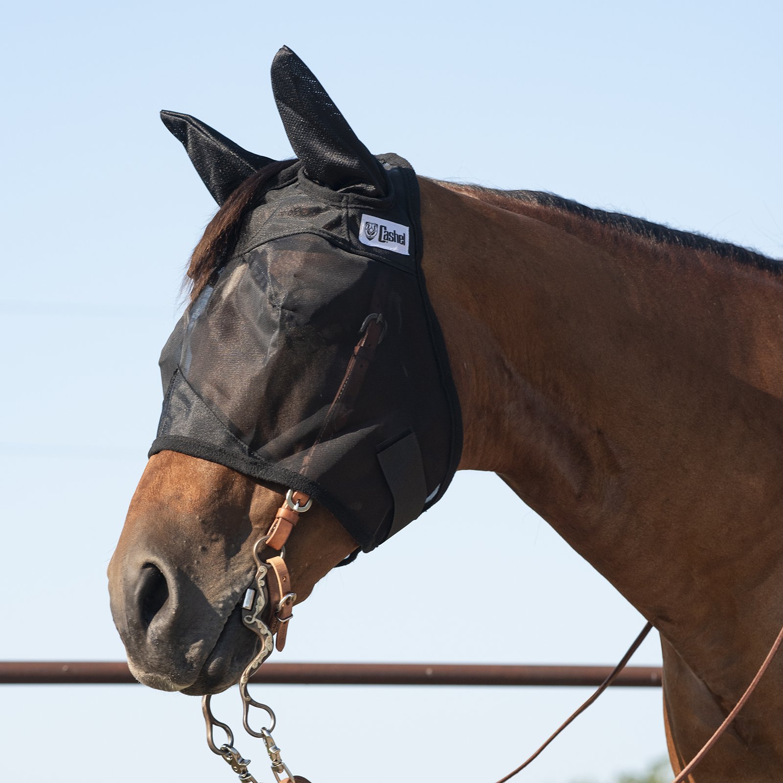 Cashel© Quiet Ride™ Mask with ears - 5