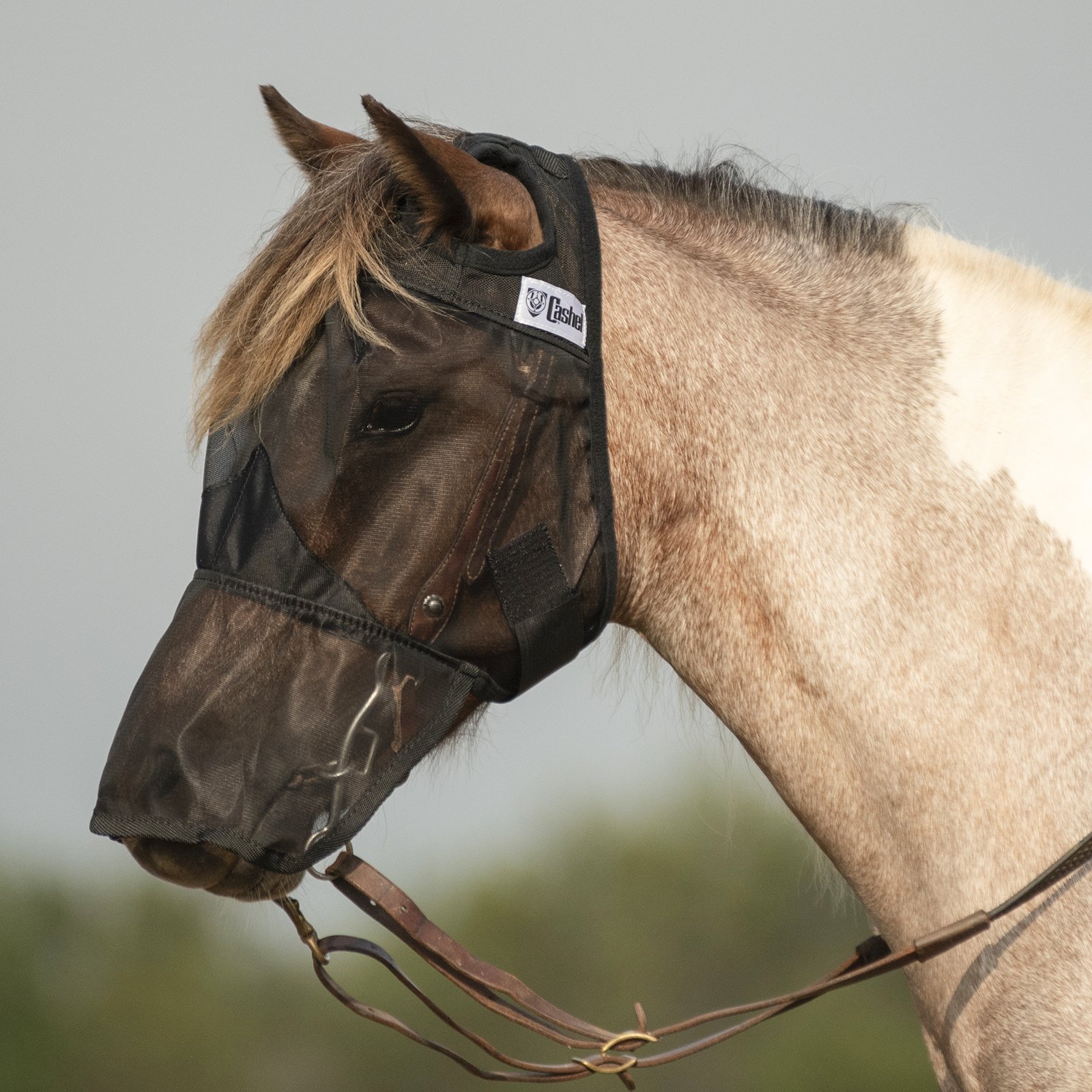 Cashel© Quiet Ride™ Mask with long nose - 6