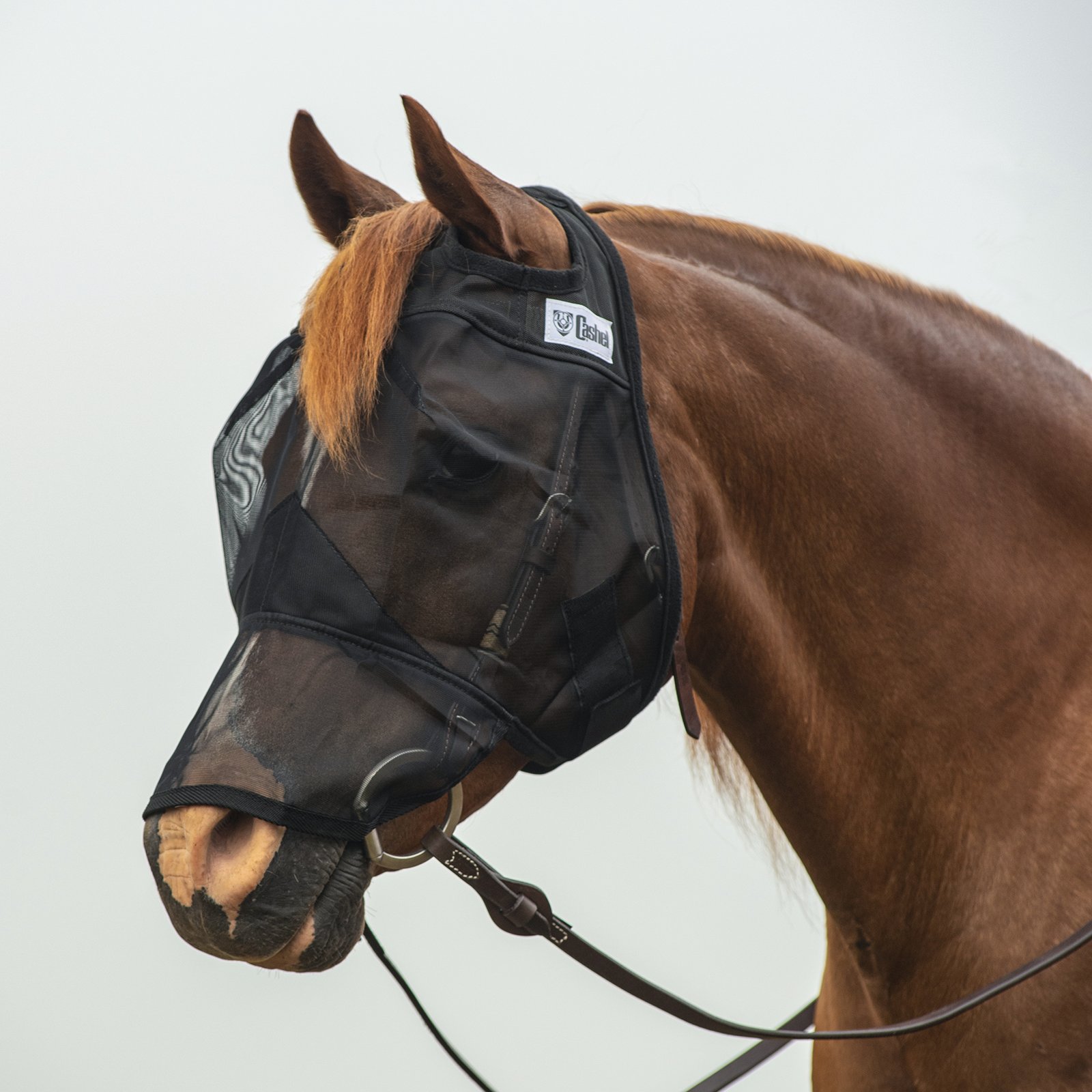 Cashel© Quiet Ride™ Mask with long nose