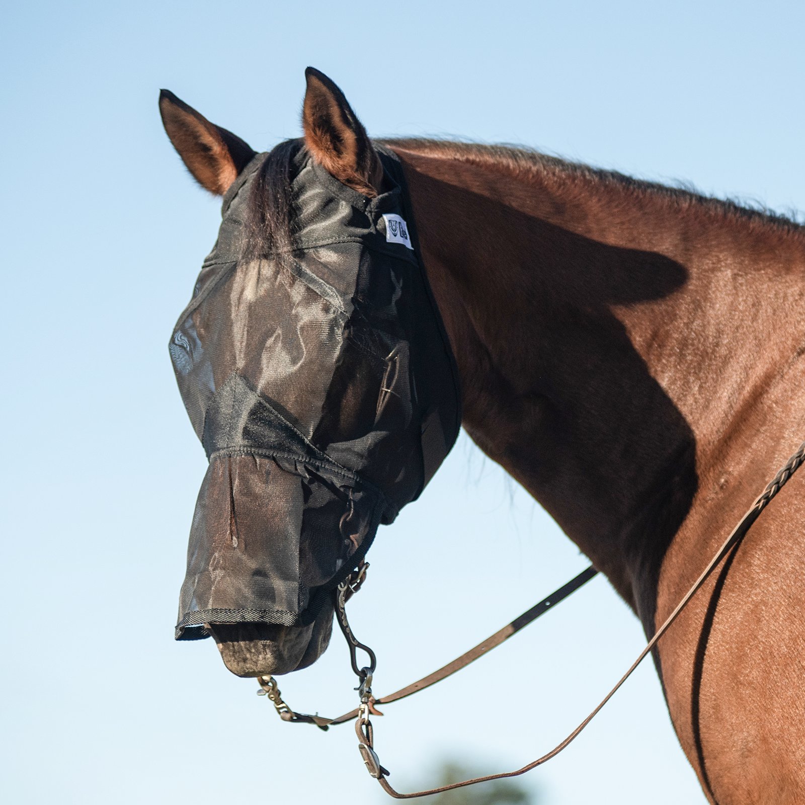 Cashel© Quiet Ride™ Mask with long nose - 4