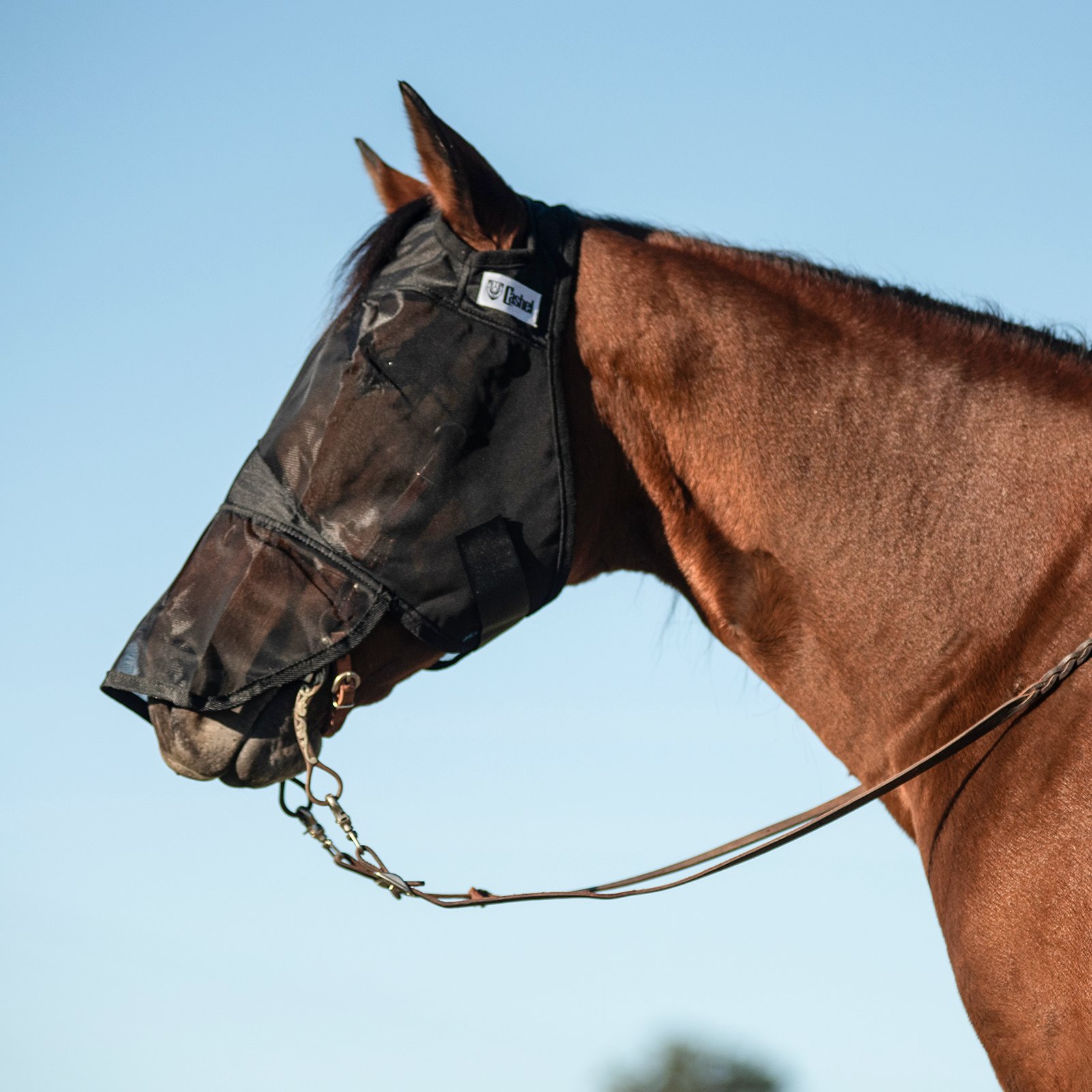 Cashel© Quiet Ride™ Mask with long nose - 3