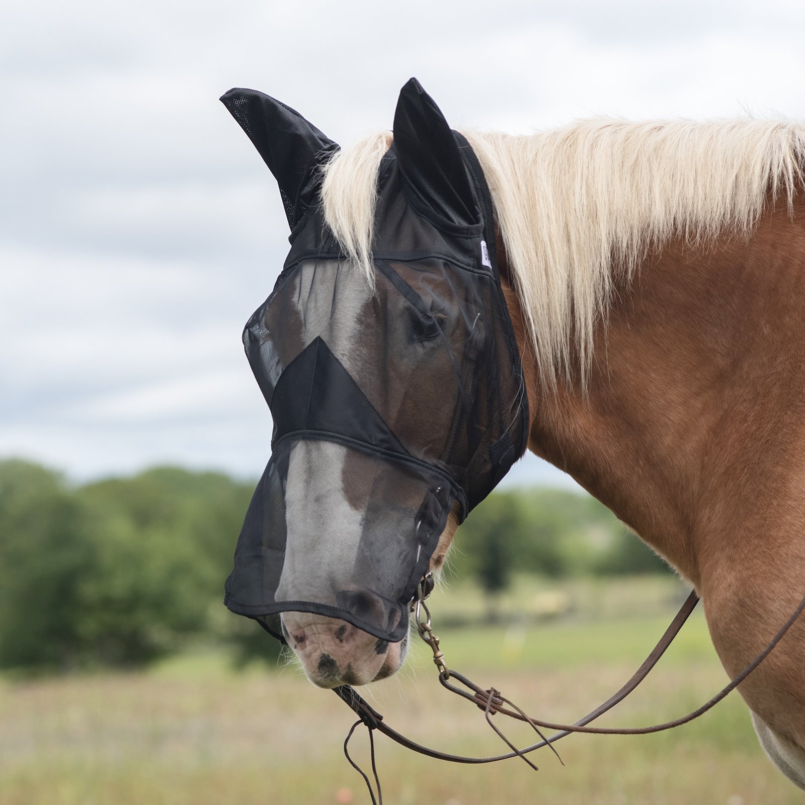 Cashel© Quiet Ride™ Mask with long nose and ears - 2