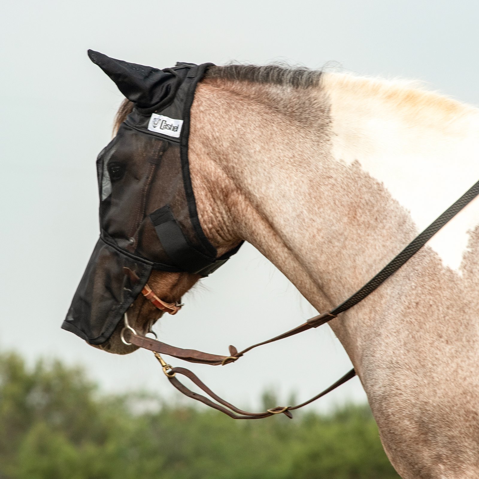 Cashel© Quiet Ride™ Mask with long nose and ears - 6