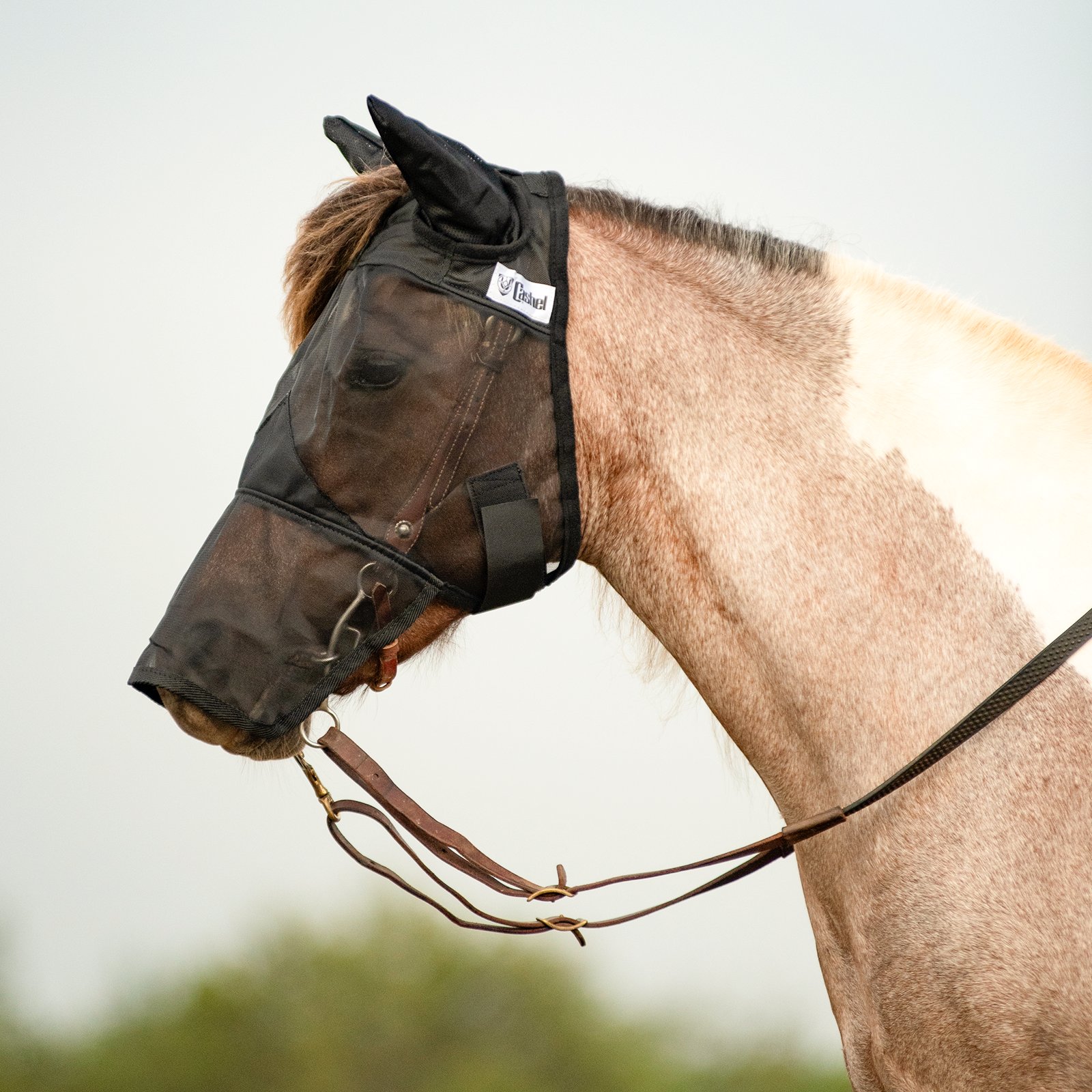 Cashel© Quiet Ride™ Mask with long nose and ears - 7