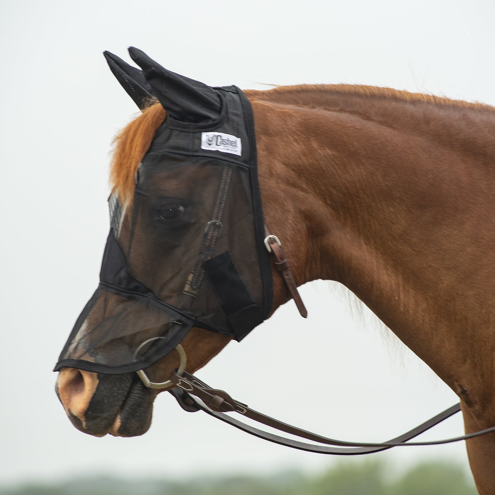 Cashel© Quiet Ride™ Mask with long nose and ears
