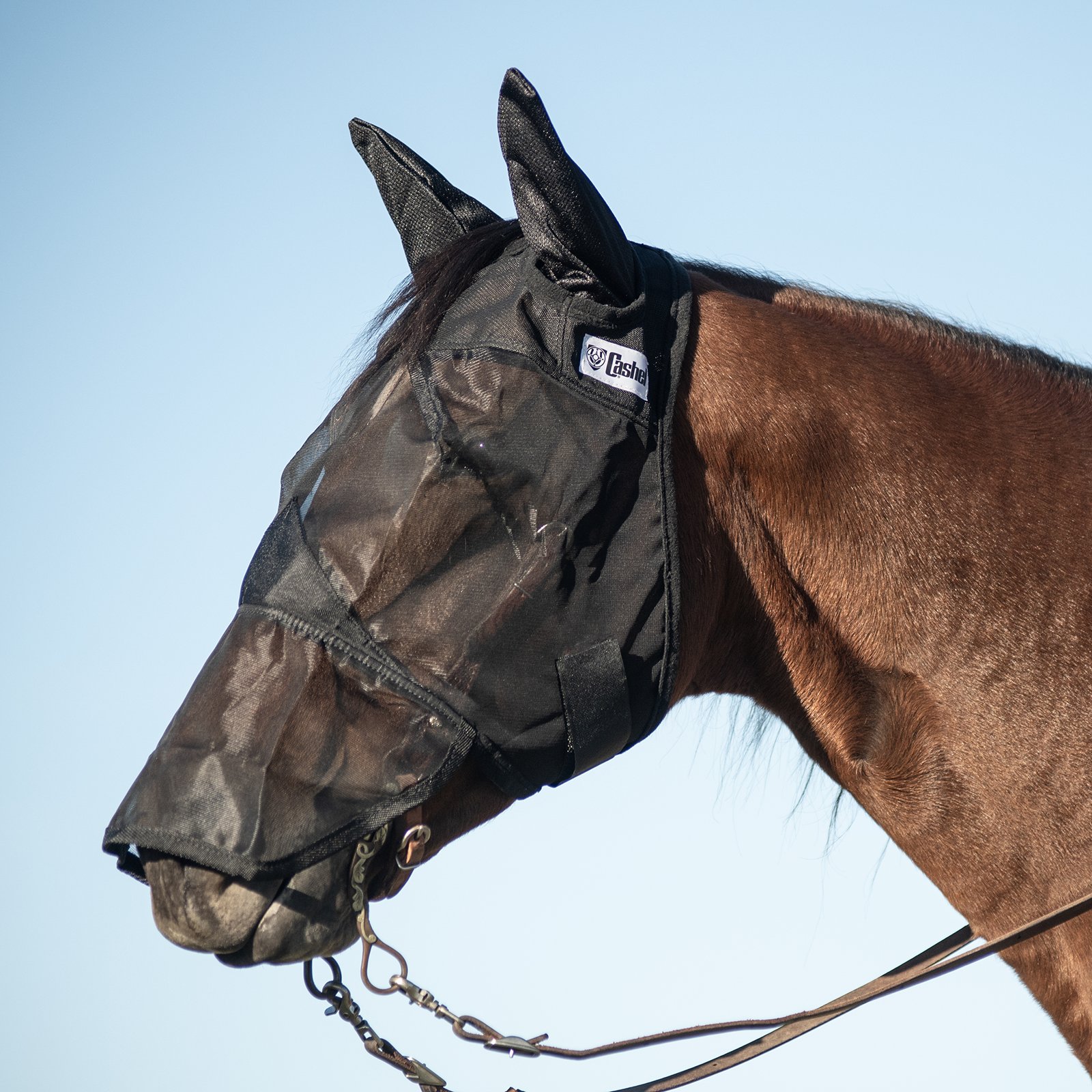 Cashel© Quiet Ride™ Mask with long nose and ears - 4