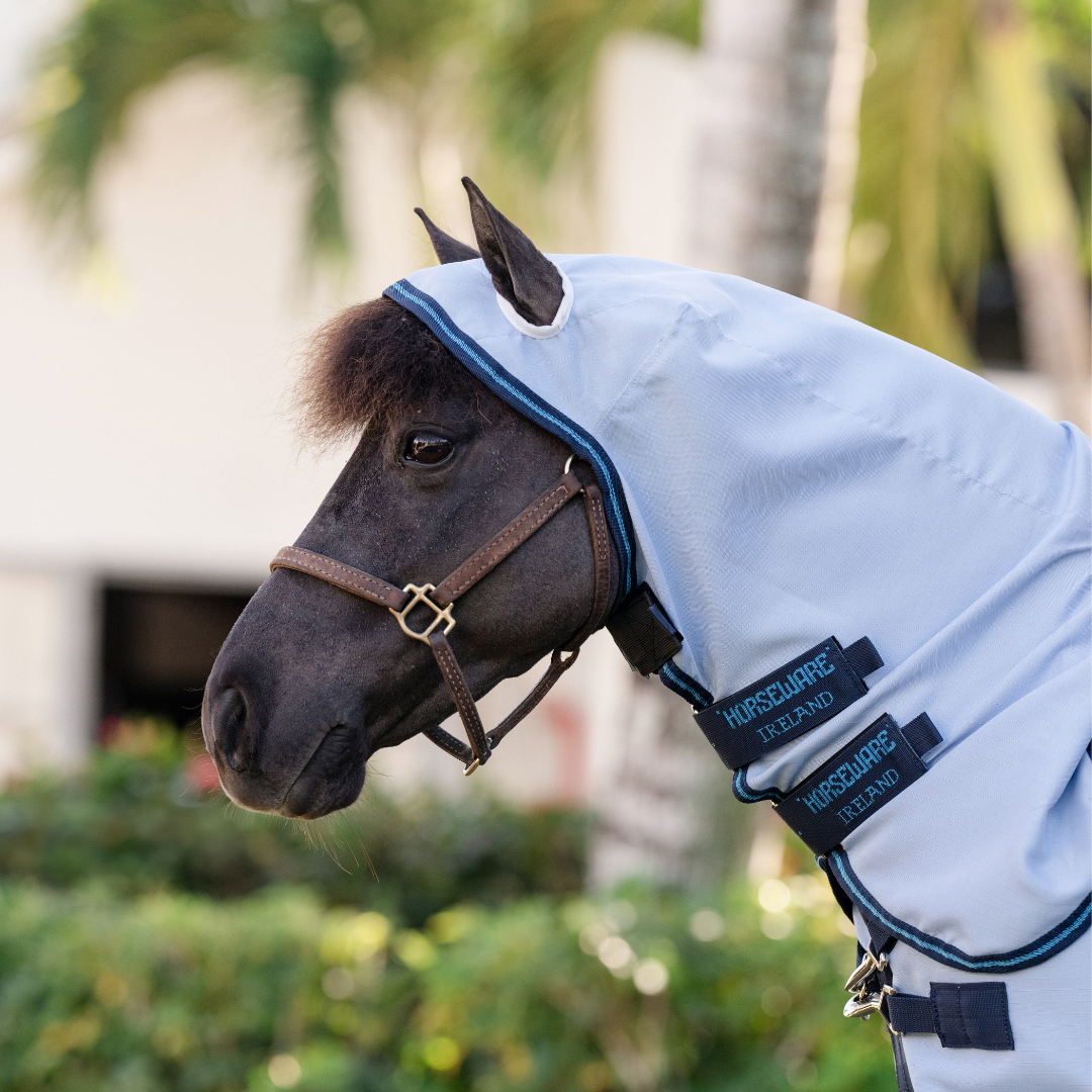 AMIGO RIPSTOP PETITE HOODY  - 3