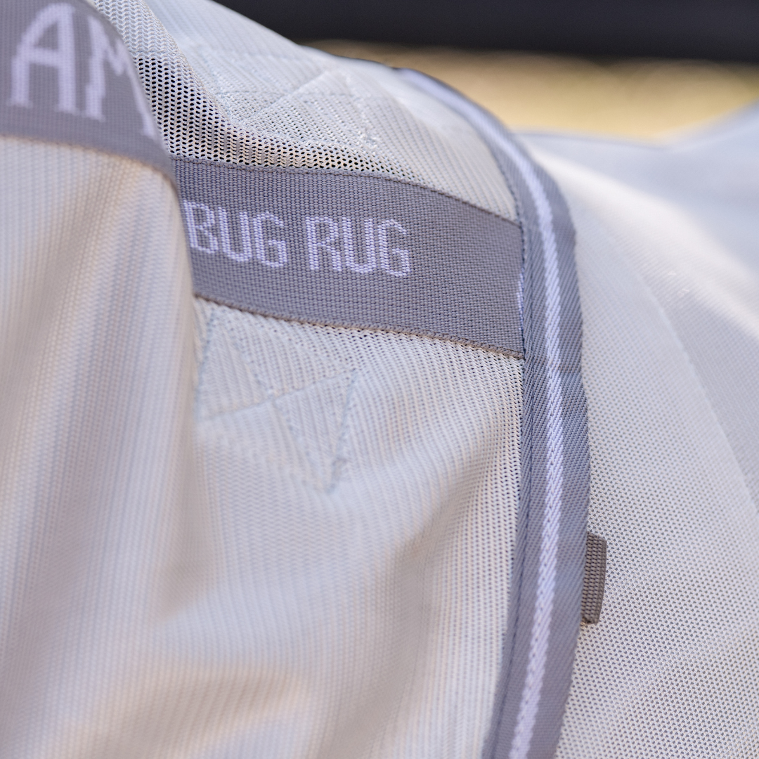AMIGO BUG RUG PLUS PETITE - 6