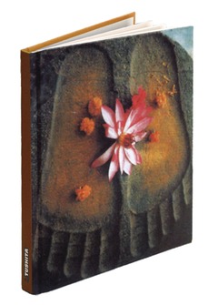 Buddha's Footsteps