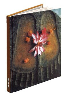 Buddha's Footsteps