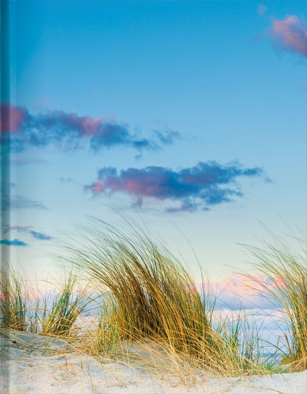 Beach and Ocean
