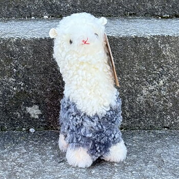 Alpacka Ally Curly - Grey/White