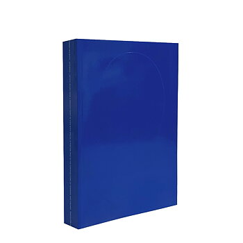 Appendix 1: Artists' Books from a Swedish Point of View 