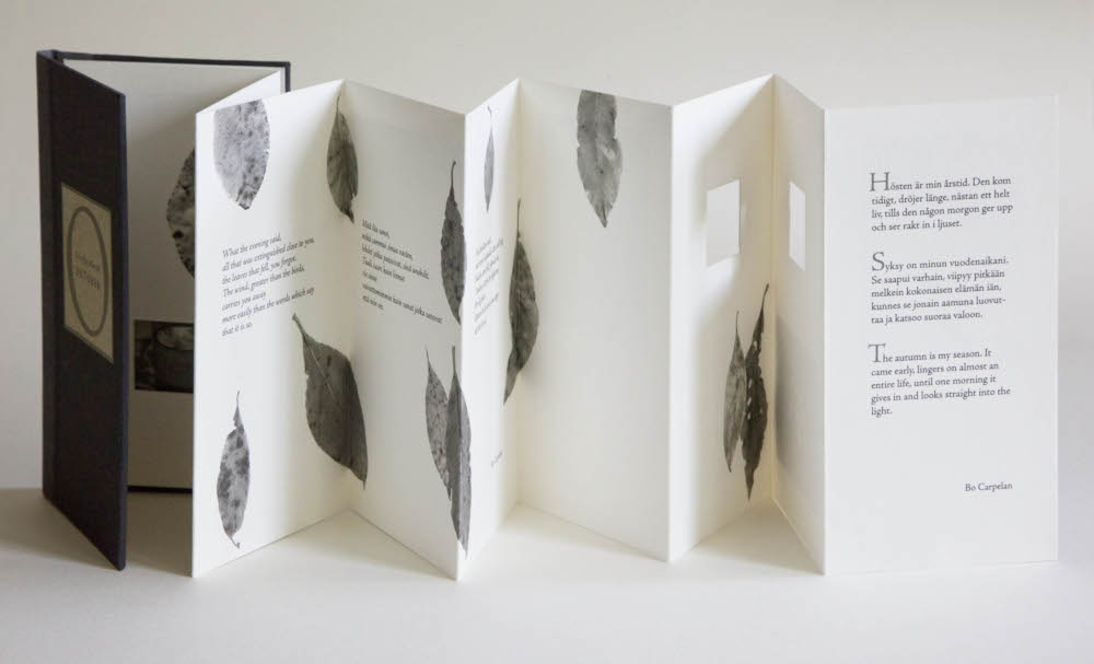 Appendix 1: Artists' Books from a Swedish Point of View With Special Attention Paid to the Contributions of Denmark and Finland  - 2