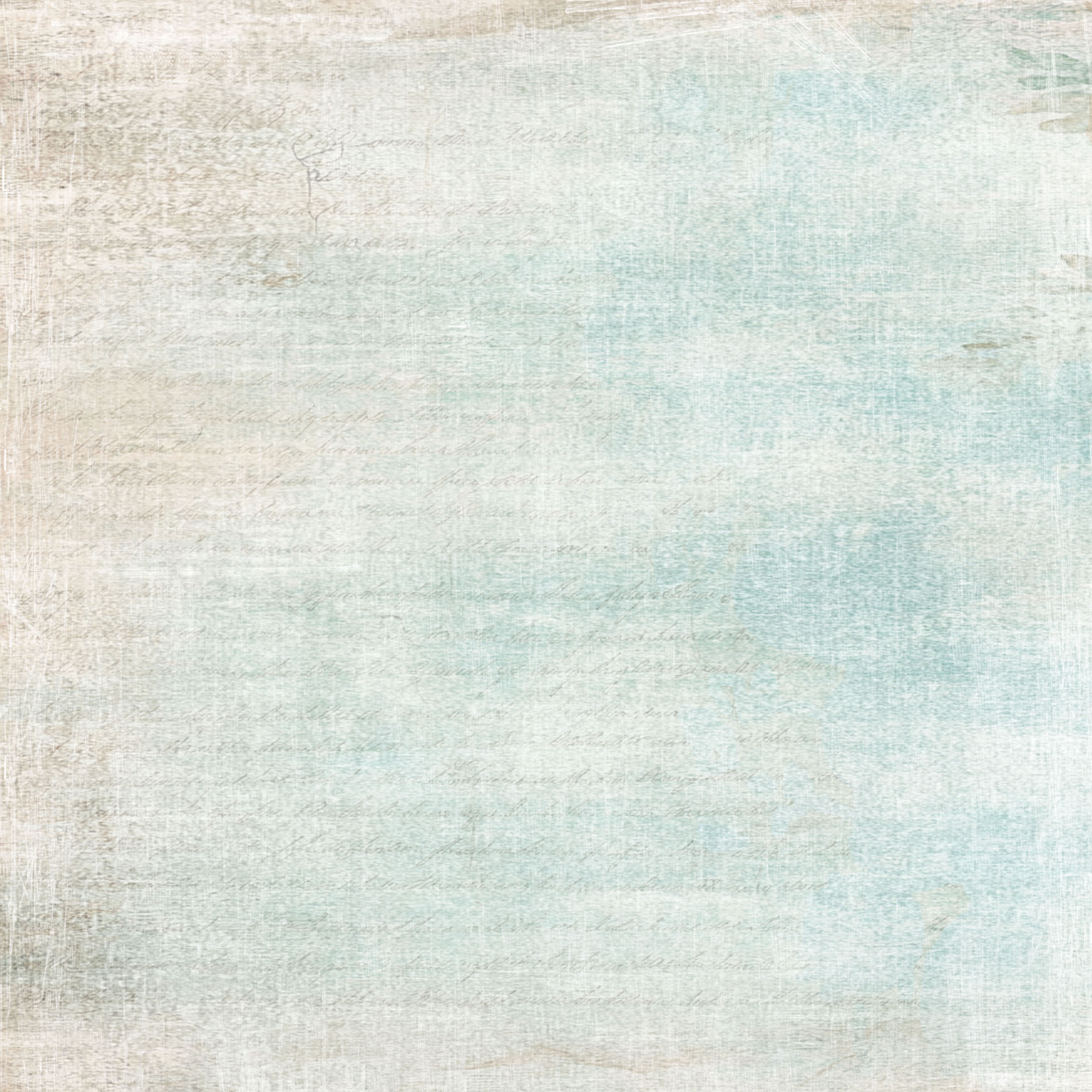Paperpack Reprint - The Bookshop Collection -  8x8 - 11