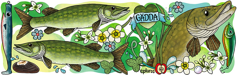 Emaljmugg - Gädda - 2
