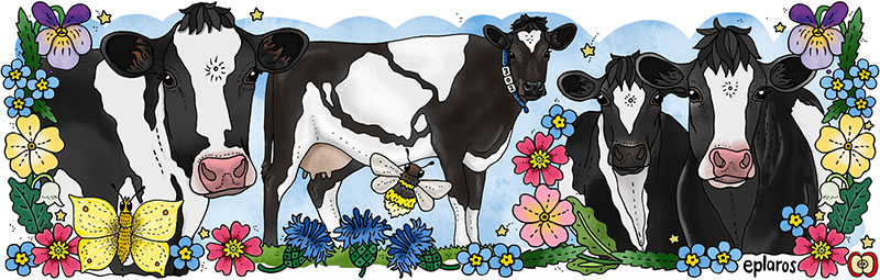 Emaljmugg - Holstein - 2