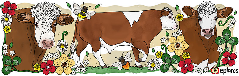 Emaljmugg - Hereford - 2
