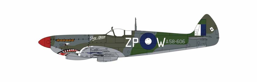 Supermarine Spitfire Mk.VIII 1/24 - 9