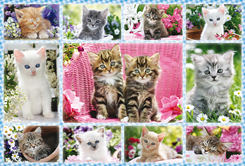 Kittens ,100 Bitar Schmidt
