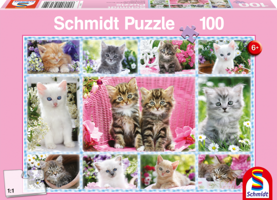 Kittens ,100 Bitar Schmidt - 2
