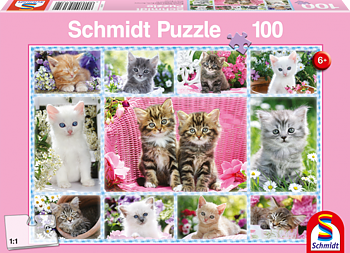 Kittens ,100 Bitar Schmidt